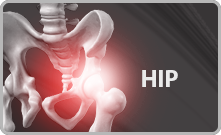 hip