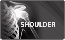 shoulder