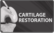 Cartilage Restoration